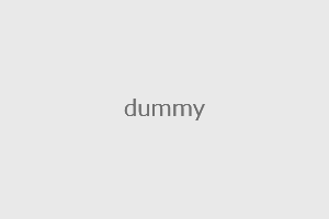 dummy